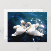 Twee zwanen briefkaart (Voorkant / Achterkant)