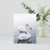 Twee zwanen briefkaart (Staand voorkant)