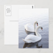 Twee zwanen briefkaart (Voorkant / Achterkant)