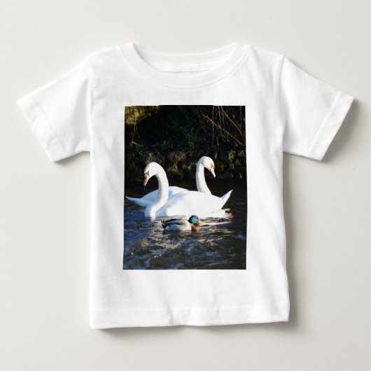 Twee zwanen en een eend (Voorkant)