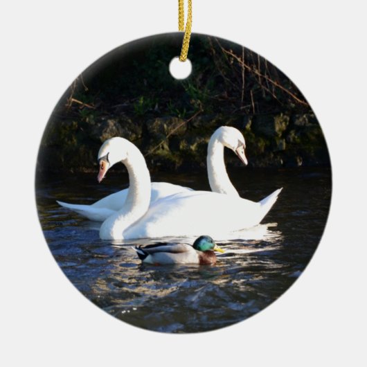 Twee zwanen en een eend keramisch ornament (Voorkant)