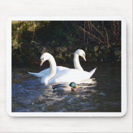Twee zwanen en een eend muismat