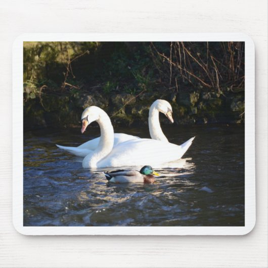 Twee zwanen en een eend muismat (Voorkant)