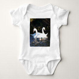 Twee zwanen en een eend romper