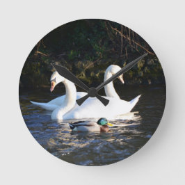 Twee zwanen en een eend ronde klok