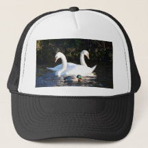Twee zwanen en een eend