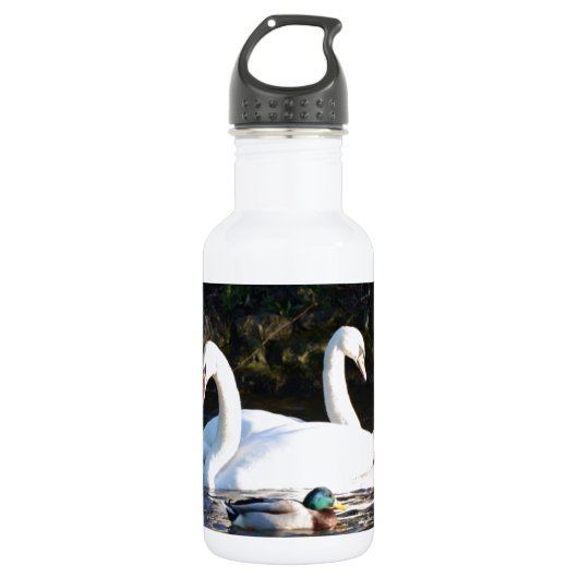 Twee zwanen en een eend waterfles (Voorkant)