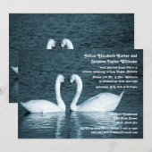 Twee zwanen Foto - Weddenschap Kaart (Voorkant / Achterkant)