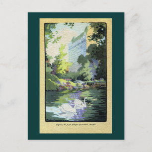Twee zwanen in het Central Park Lake Briefkaart