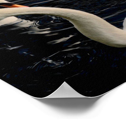 Twee zwanen poster (Hoek)