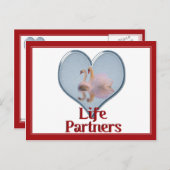 Twee Zwanen Zwemmen w / tekst "Life Partners" Briefkaart (Voorkant / Achterkant)