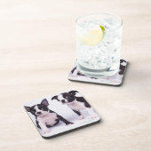 Twee zwarte en witte puppies bier onderzetter (Rechterzijde)