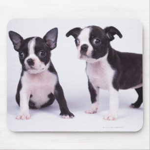Twee zwarte en witte puppies muismat