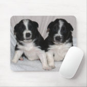 twee zwarte en witte puppies muismat (Met muis)