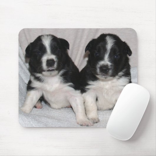 twee zwarte en witte puppies muismat (Met muis)