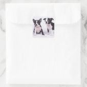 Twee zwarte en witte puppies vierkante sticker (Tas)