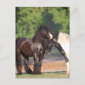 Twee zwarte en witte zigeunervanners ontmoeten elk briefkaart (Voorkant)