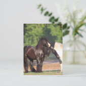 Twee zwarte en witte zigeunervanners ontmoeten elk briefkaart (Staand voorkant)