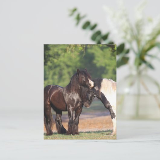 Twee zwarte en witte zigeunervanners ontmoeten elk briefkaart (Staand voorkant)