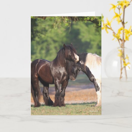 Twee zwarte en witte zigeunervanners ontmoeten elk kaart (Gele Bloem)