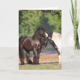 Twee zwarte en witte zigeunervanners ontmoeten elk kaart