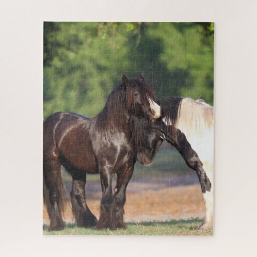 Twee zwarte en witte zigeunervanners ontmoeten elk legpuzzel (Verticaal)