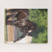 Twee zwarte en witte zigeunervanners ontmoeten elk legpuzzel (Horizontaal)