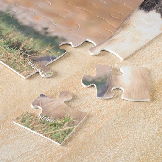 Twee zwarte en witte zigeunervanners ontmoeten elk legpuzzel (Zijkant)