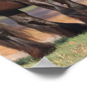 Twee zwarte en witte zigeunervanners ontmoeten elk poster (Hoek)