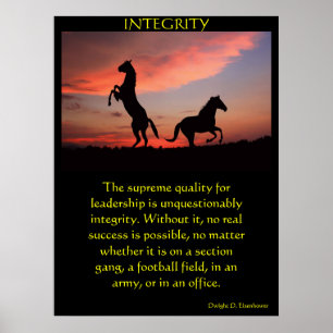 Twee zwarte hengsten in een silhouet poster