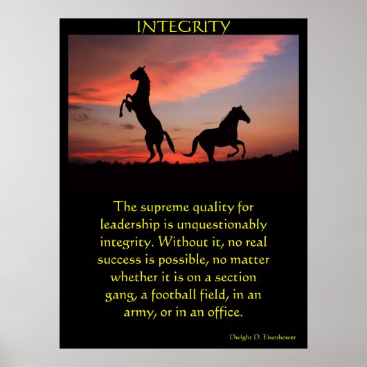 Twee zwarte hengsten in een silhouet poster (Voorkant)