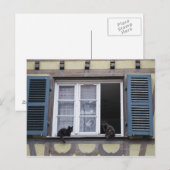 Twee zwarte katten bij het raam briefkaart (Voorkant / Achterkant)