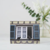 Twee zwarte katten bij het raam briefkaart (Staand voorkant)