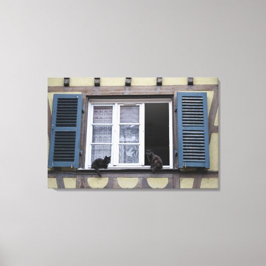 Twee zwarte katten bij het raam canvas afdruk (Voorkant)