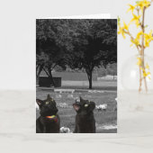 Twee zwarte katten op begraafplaats leeg Wenskaart Kaart (Gele Bloem)