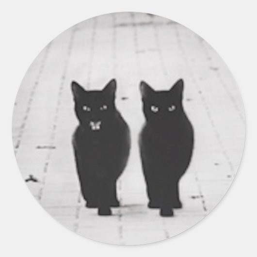 Twee zwarte katten Sticker set (Voorkant)