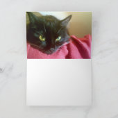 Twee zwarte katten Wenskaart Kaart (Binnen)