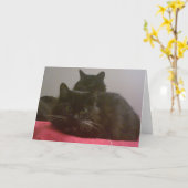 Twee zwarte katten Wenskaart Kaart (Gele Bloem)