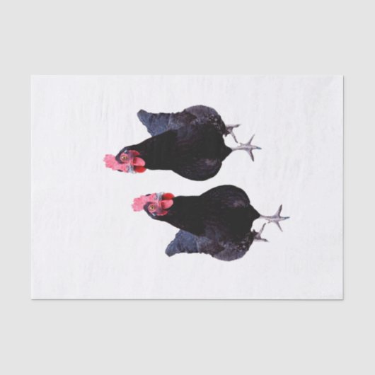 Twee zwarte kippen, tissuepapier (Voorkant)