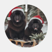 Twee zwarte kranten op een slee glas ornament (Achterkant)