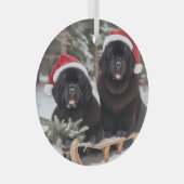 Twee zwarte kranten op een slee glas ornament (Voorkant Rechts)