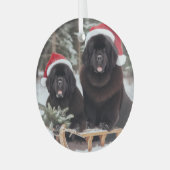 Twee zwarte kranten op een slee glas ornament (Voorkant links)