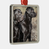 Twee zwarte labradors metalen ornament (Rechts)