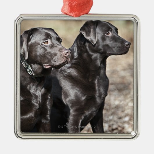 Twee zwarte labradors metalen ornament (Voorkant)