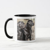 Twee zwarte labradors mok (Links)
