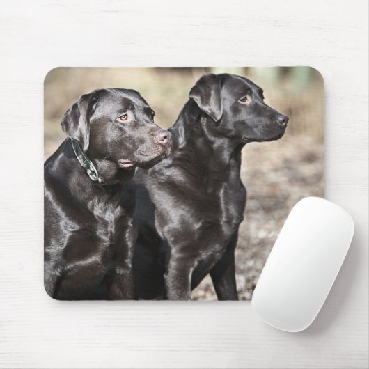 Twee zwarte labradors muismat (Met muis)