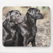 Twee zwarte labradors muismat (Voorkant)
