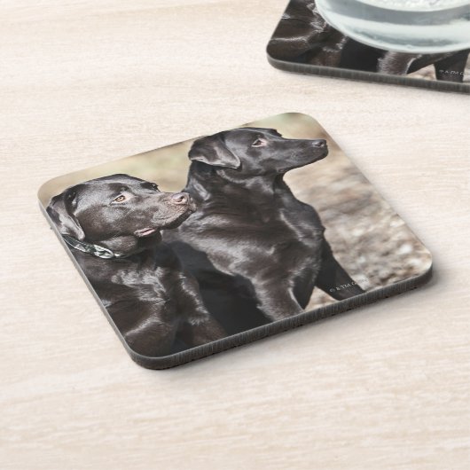 Twee zwarte labradors onderzetter (Linkerzijde)