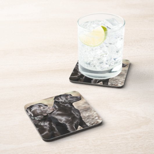 Twee zwarte labradors onderzetter (Rechterzijde)