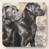 Twee zwarte labradors onderzetter (Voorkant)